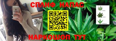 ALPHA PVP Кингисепп