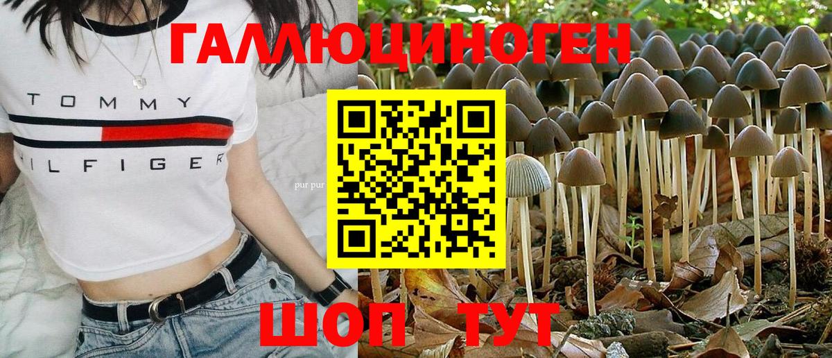 Псилоцибиновые грибы Psilocybine cubensis Куйбышев